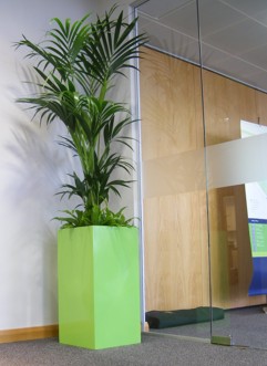 light green planter to match corporate colour